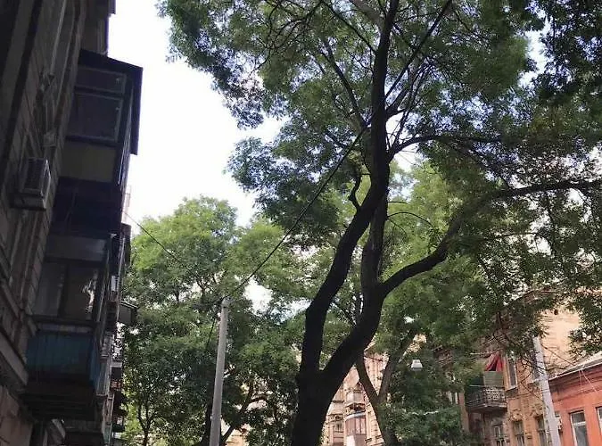 Апартаменты #8 Одесса